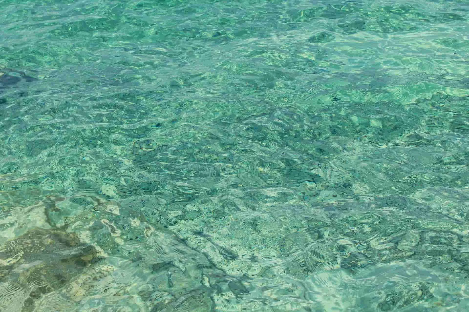 Crystal Clear Waters Tours