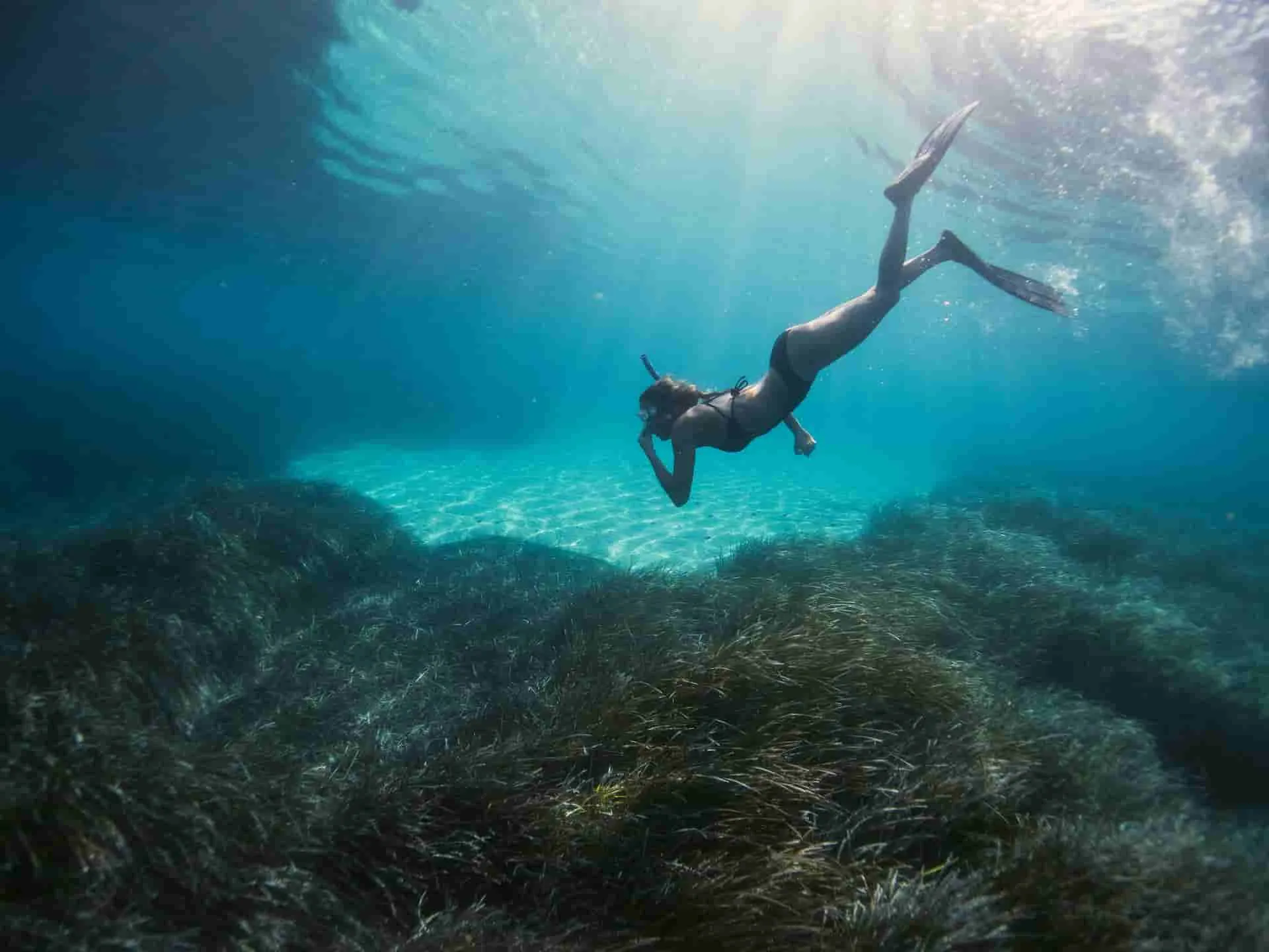 Snorkeling & Water Sports