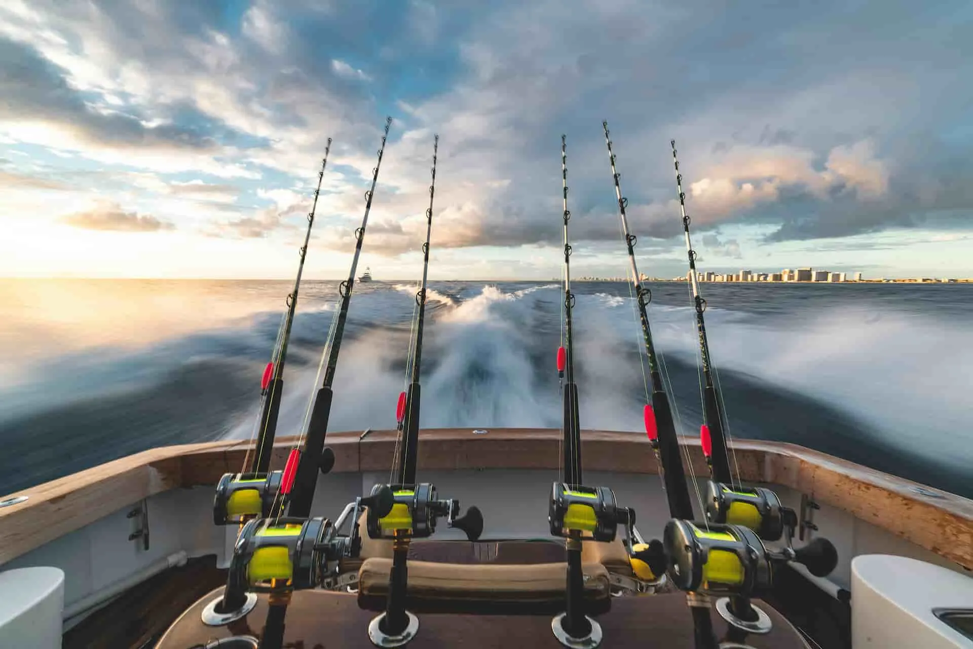Deep Sea Sport Fishing